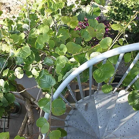 Marenostrum Apartamento Pieve Ligure